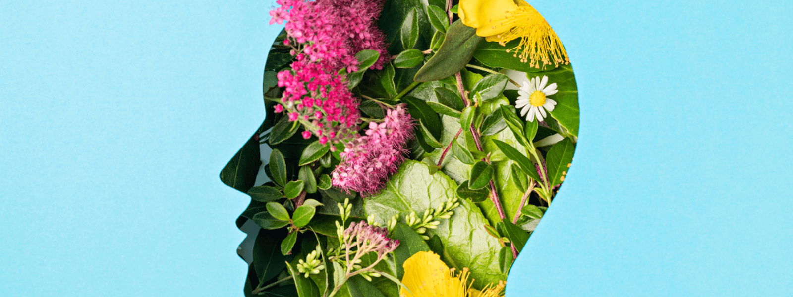 NABS-National-Academy-of-Behavioral-Science-World Mental Health Day 2023: Nurturing Mental Wellness Together